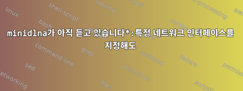 minidlna가 아직 듣고 있습니다*:특정 네트워크 인터페이스를 지정해도