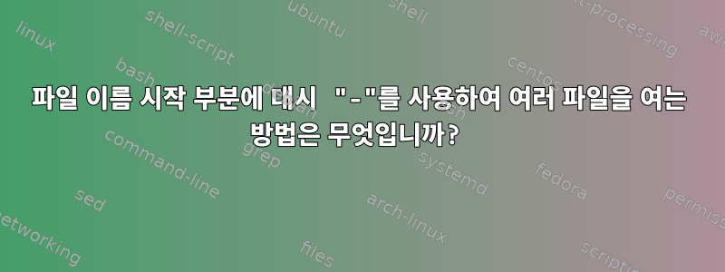 파일 이름 시작 부분에 대시 "-"를 사용하여 여러 파일을 여는 방법은 무엇입니까?