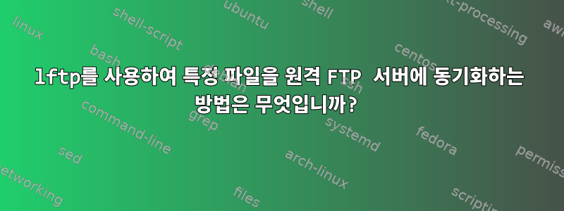 lftp를 사용하여 특정 파일을 원격 FTP 서버에 동기화하는 방법은 무엇입니까?