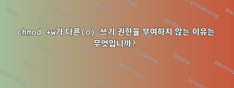 chmod +w가 다른(o) 쓰기 권한을 부여하지 않는 이유는 무엇입니까?