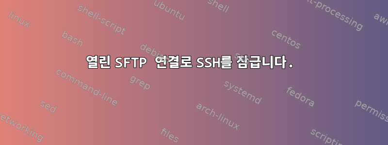 열린 SFTP 연결로 SSH를 잠급니다.