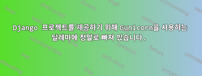 Django 프로젝트를 제공하기 위해 Gunicorn을 사용하는 딜레마에 정말로 빠져 있습니다.