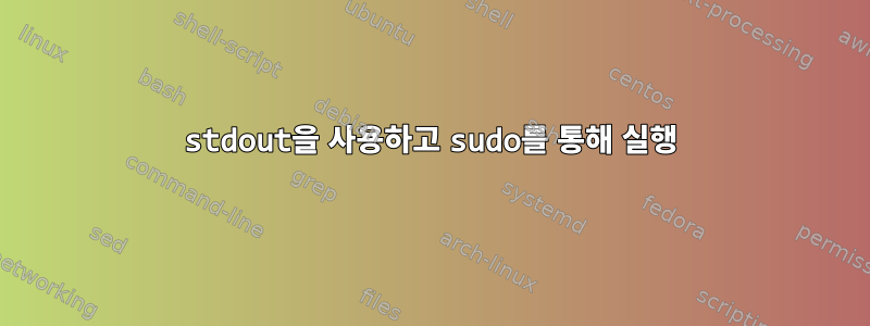 stdout을 사용하고 sudo를 통해 실행