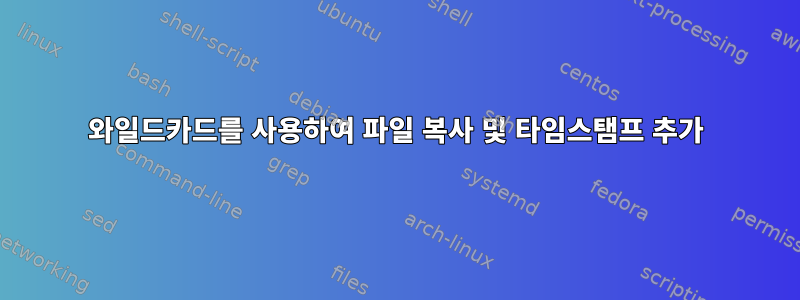 와일드카드를 사용하여 파일 복사 및 타임스탬프 추가