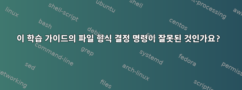 이 학습 가이드의 파일 형식 결정 명령이 잘못된 것인가요?