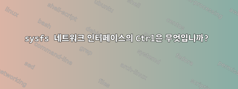 sysfs 네트워크 인터페이스의 Ctrl은 무엇입니까?