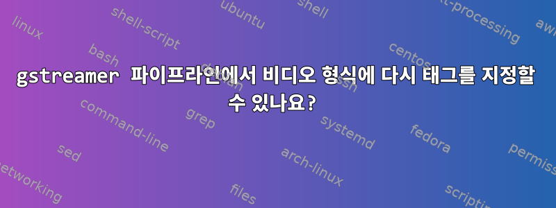 gstreamer 파이프라인에서 비디오 형식에 다시 태그를 지정할 수 있나요?