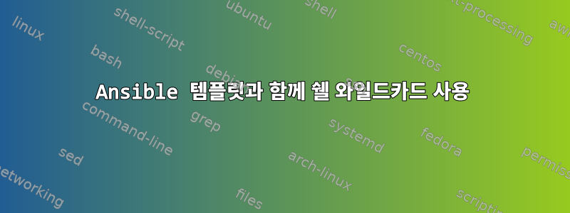 Ansible 템플릿과 함께 쉘 와일드카드 사용