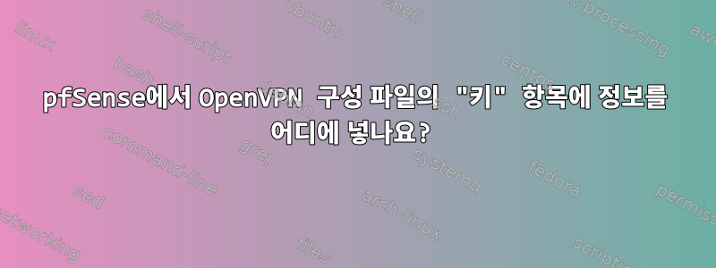 pfSense에서 OpenVPN 구성 파일의 "키" 항목에 정보를 어디에 넣나요?