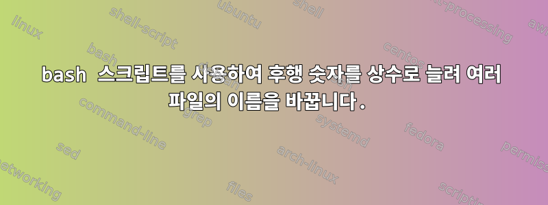 bash 스크립트를 사용하여 후행 숫자를 상수로 늘려 여러 파일의 이름을 바꿉니다.