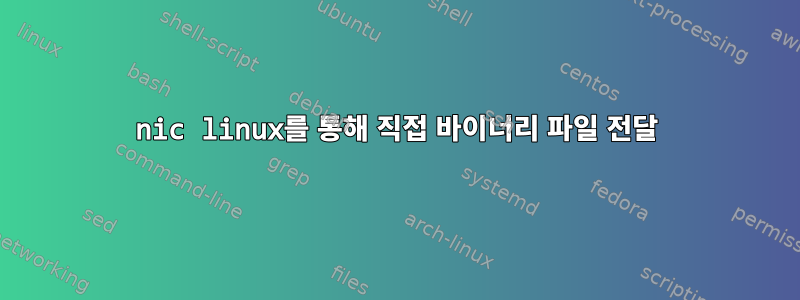 nic linux를 통해 직접 바이너리 파일 전달