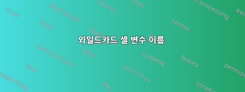 와일드카드 셸 변수 이름