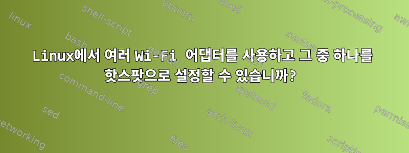 Linux에서 여러 Wi-Fi 어댑터를 사용하고 그 중 하나를 핫스팟으로 설정할 수 있습니까?