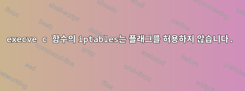 execve c 함수의 iptables는 플래그를 허용하지 않습니다.