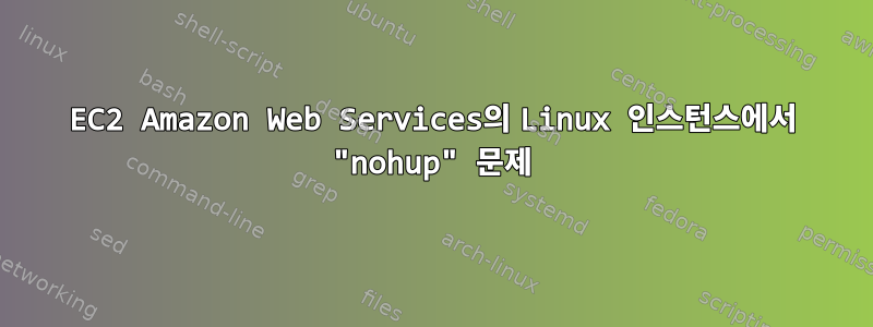 EC2 Amazon Web Services의 Linux 인스턴스에서 "nohup" 문제