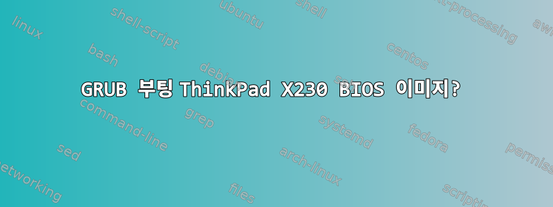 GRUB 부팅 ThinkPad X230 BIOS 이미지?