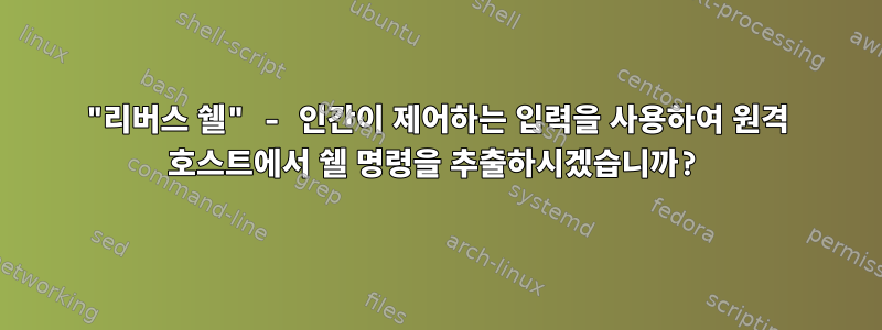 "리버스 쉘" - 인간이 제어하는 ​​입력을 사용하여 원격 호스트에서 쉘 명령을 추출하시겠습니까?