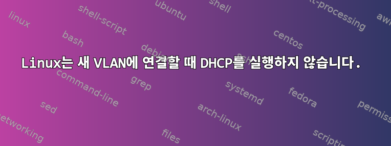 Linux는 새 VLAN에 연결할 때 DHCP를 실행하지 않습니다.