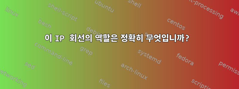 이 IP 회선의 역할은 정확히 무엇입니까?