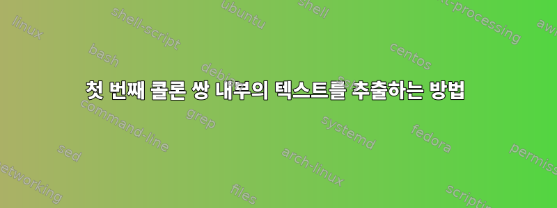 첫 번째 콜론 쌍 내부의 텍스트를 추출하는 방법