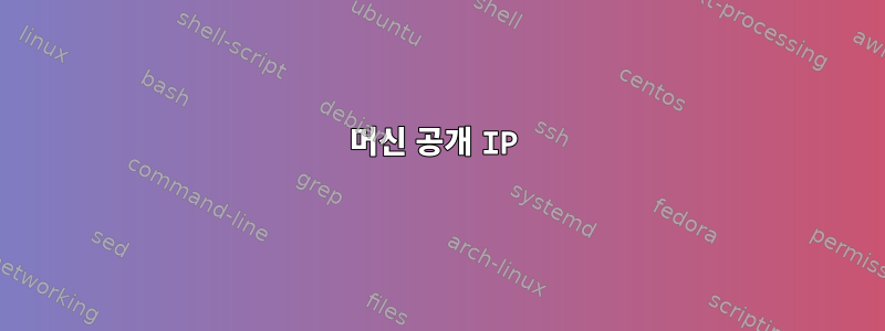 머신 공개 IP