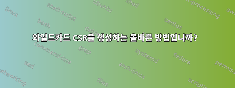 와일드카드 CSR을 생성하는 올바른 방법입니까?