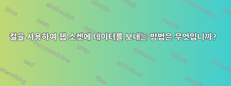 컬을 사용하여 웹 소켓에 데이터를 보내는 방법은 무엇입니까?