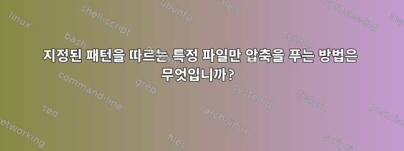 지정된 패턴을 따르는 특정 파일만 압축을 푸는 방법은 무엇입니까?