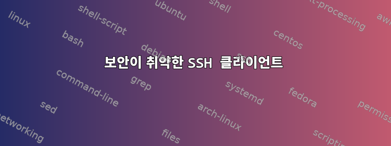 보안이 취약한 SSH 클라이언트