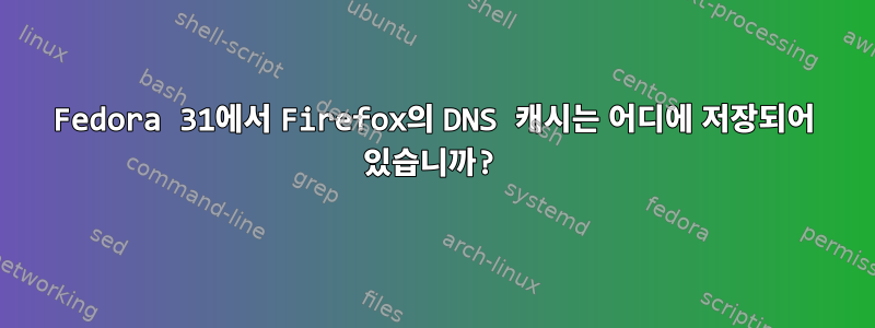 Fedora 31에서 Firefox의 DNS 캐시는 어디에 저장되어 있습니까?