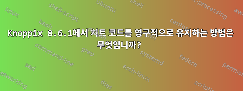 Knoppix 8.6.1에서 치트 코드를 영구적으로 유지하는 방법은 무엇입니까?