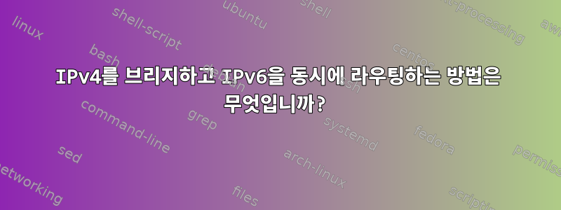 IPv4를 브리지하고 IPv6을 동시에 라우팅하는 방법은 무엇입니까?