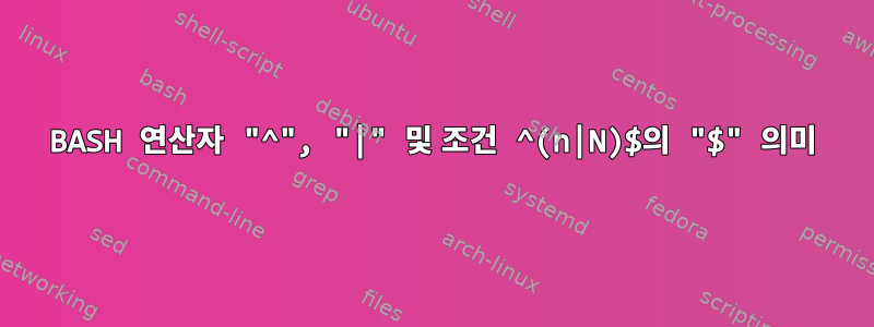 BASH 연산자 "^", "|" 및 조건 ^(n|N)$의 "$" 의미