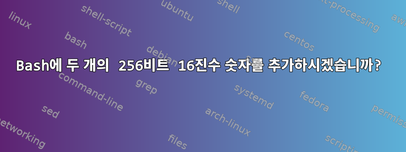 Bash에 두 개의 256비트 16진수 숫자를 추가하시겠습니까?