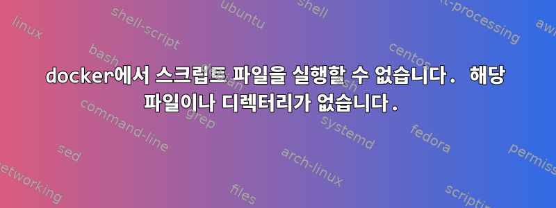 docker에서 스크립트 파일을 실행할 수 없습니다. 해당 파일이나 디렉터리가 없습니다.