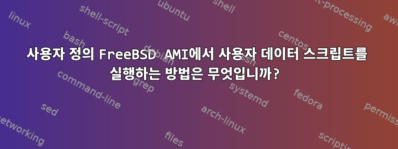 사용자 정의 FreeBSD AMI에서 사용자 데이터 스크립트를 실행하는 방법은 무엇입니까?