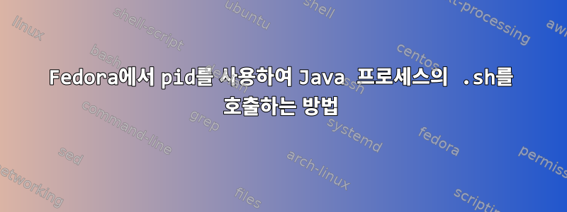 Fedora에서 pid를 사용하여 Java 프로세스의 .sh를 호출하는 방법