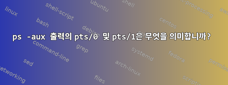 ps -aux 출력의 pts/0 및 pts/1은 무엇을 의미합니까?