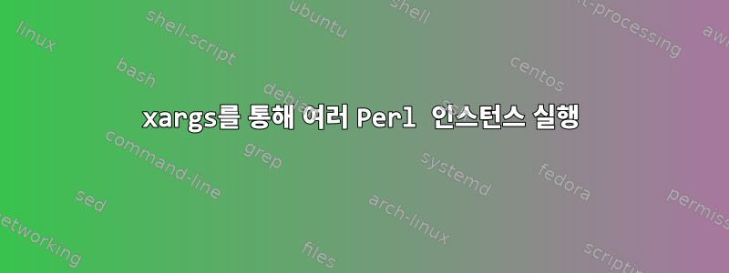 xargs를 통해 여러 Perl 인스턴스 실행