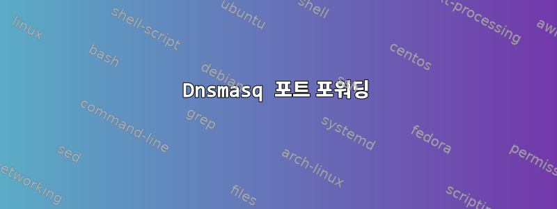 Dnsmasq 포트 포워딩