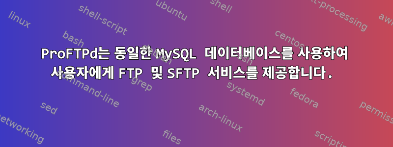 ProFTPd는 동일한 MySQL 데이터베이스를 사용하여 사용자에게 FTP 및 SFTP 서비스를 제공합니다.