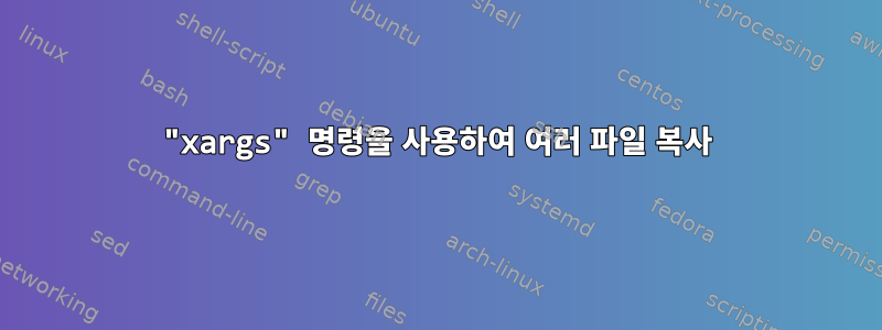 "xargs" 명령을 사용하여 여러 파일 복사