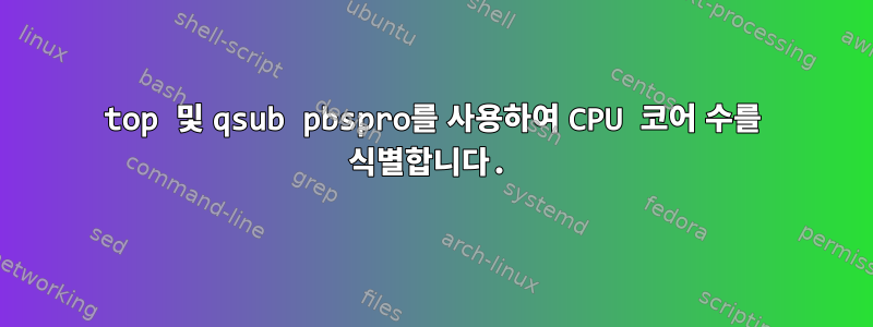 top 및 qsub pbspro를 사용하여 CPU 코어 수를 식별합니다.