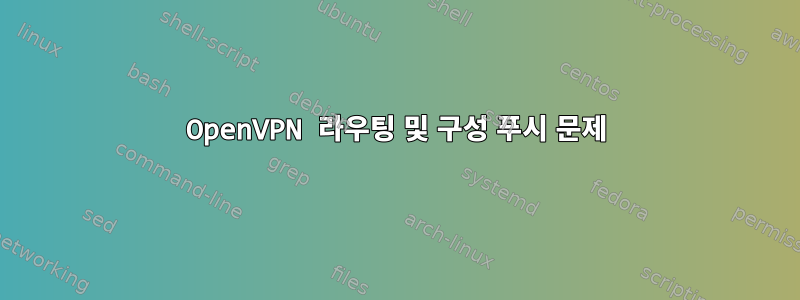 OpenVPN 라우팅 및 구성 푸시 문제