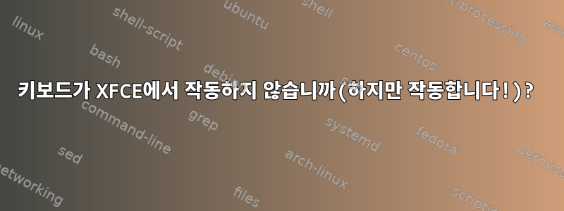 키보드가 XFCE에서 작동하지 않습니까(하지만 작동합니다!)?