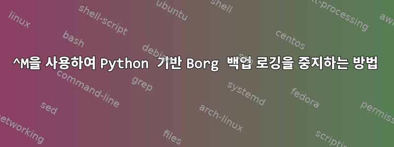 ^M을 사용하여 Python 기반 Borg 백업 로깅을 중지하는 방법