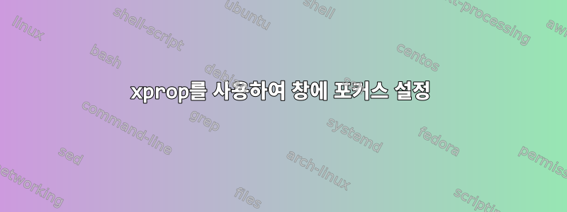 xprop를 사용하여 창에 포커스 설정