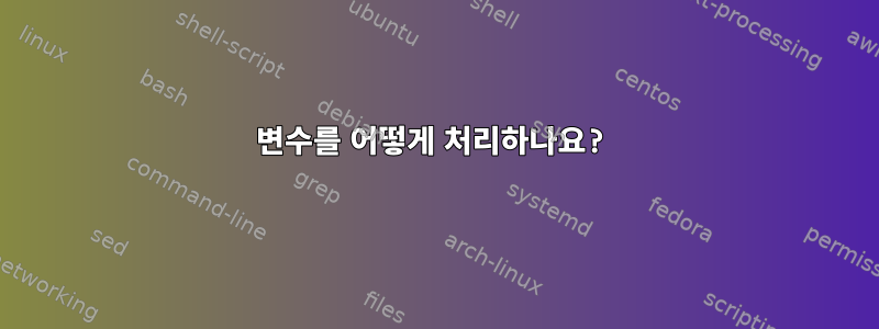 변수를 어떻게 처리하나요?