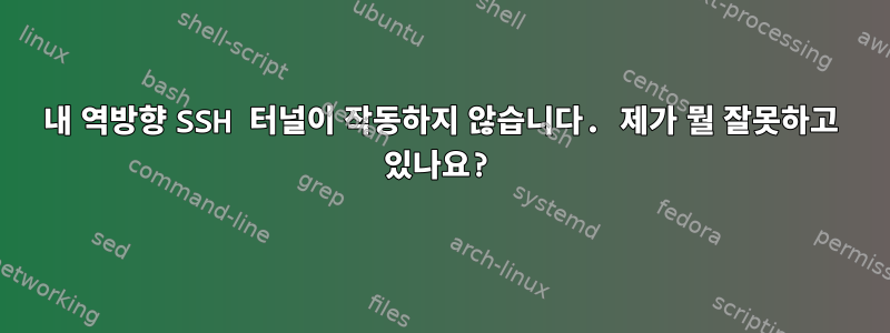 내 역방향 SSH 터널이 작동하지 않습니다. 제가 뭘 잘못하고 있나요?