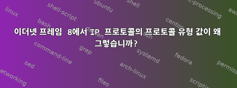 이더넷 프레임 8에서 IP 프로토콜의 프로토콜 유형 값이 왜 그렇습니까?